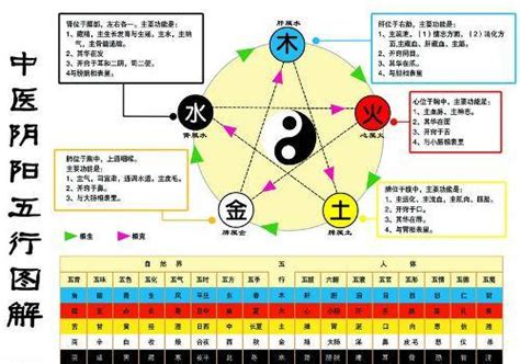 為何金生水|金为何生水